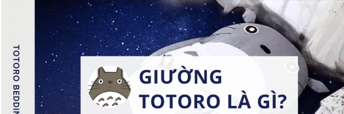 Giường ngủ totoro là gì? Các mẫu giường ngủ totoro đẹp nhất 2022