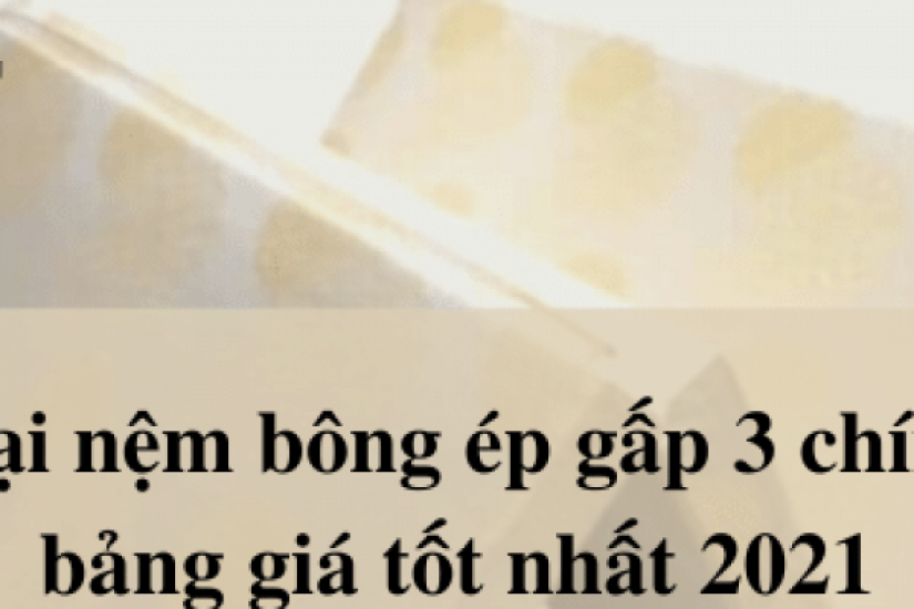 Top 7 loại nệm bông ép gấp 3 giá rẻ chính hãng Everon mới nhất 2022