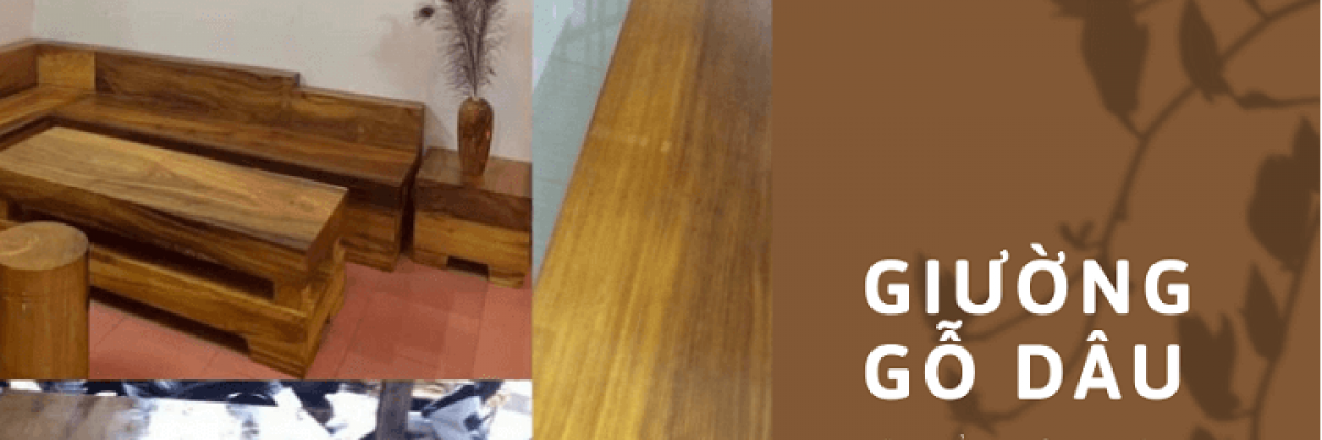 Giường gỗ dâu là gì? Có tốt không và có giá là bao nhiêu?