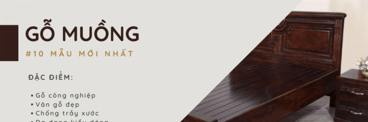 Gỗ muồng là gỗ gì? Có tốt không? Gồm những loại nào?