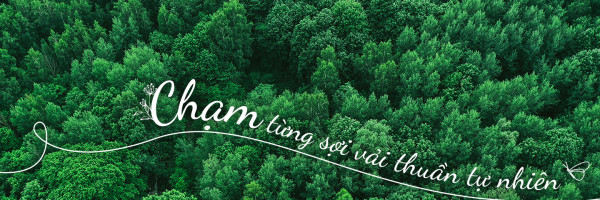 TỔNG HỢP NHỮNG CHẤT LIỆU “XANH” DÙNG LÀM CHĂN GA GỐI PHỔ BIẾN HIỆN NAY