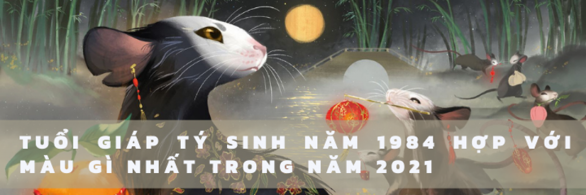 Phong thủy 2022: Tuổi Giáp Tý 1984 hợp màu gì và khắc màu gì nhất?