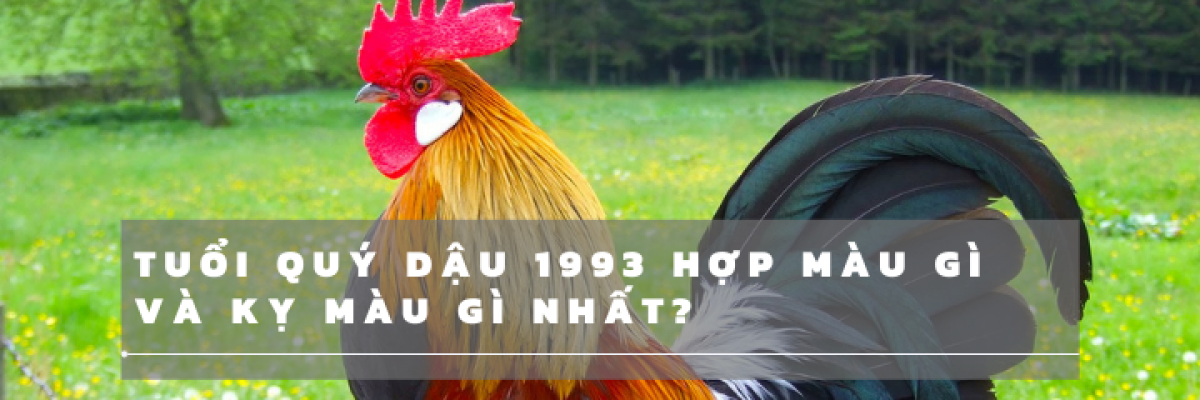 Tuổi Quý Dậu 1993 hợp màu gì và kỵ màu gì nhất?